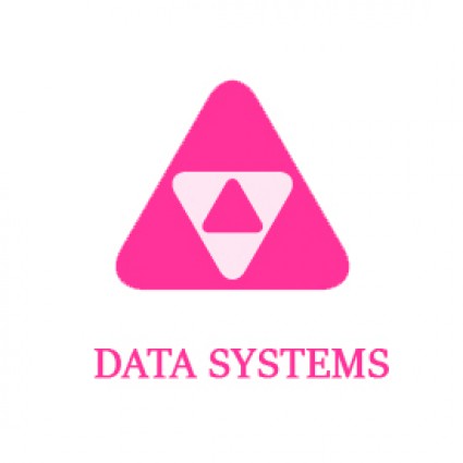 Data Systems Ltd